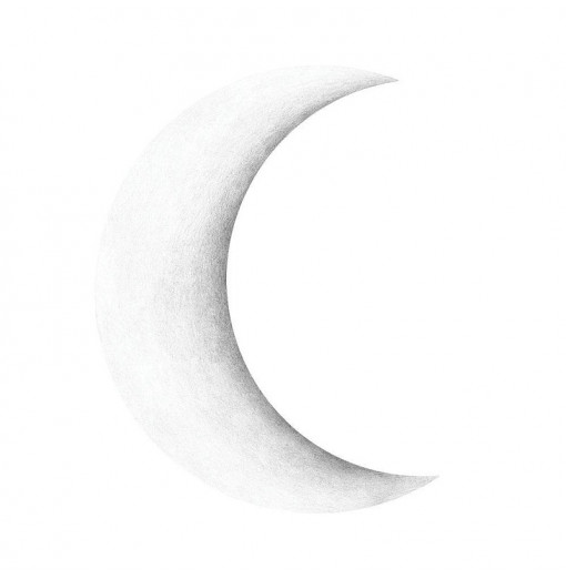 Vinilo Crescent Moon -...